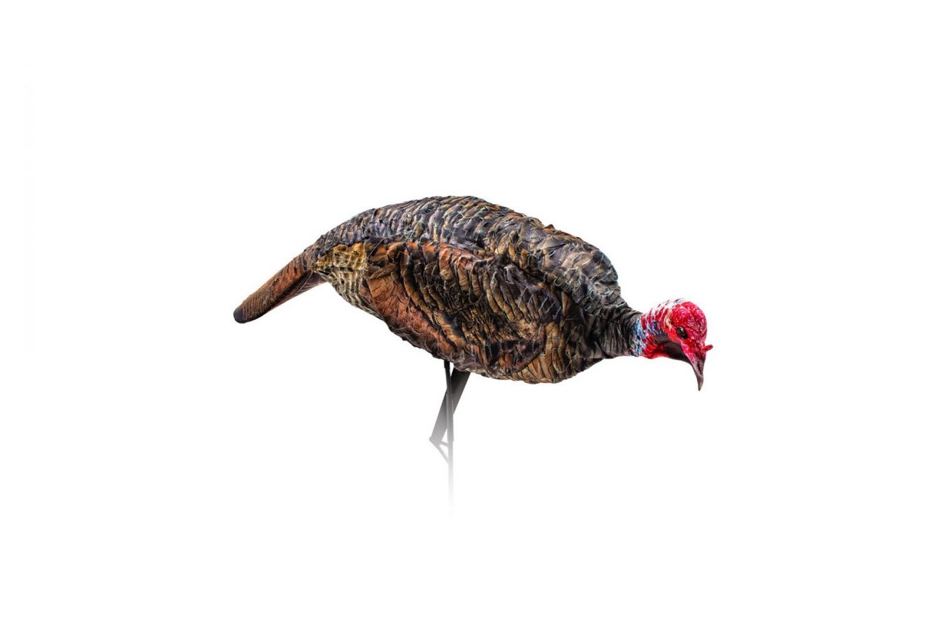 Montana Decoy Purrfect Pair XD 3D Turkey Combo